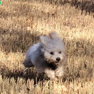 Meet your Posher, Bryan